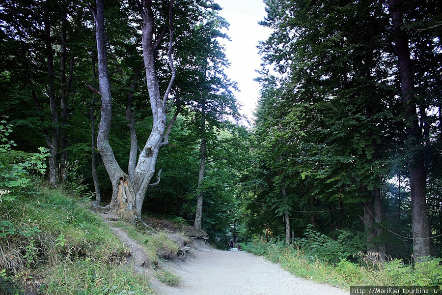 Болгария,Крестовая гора,монастырь 