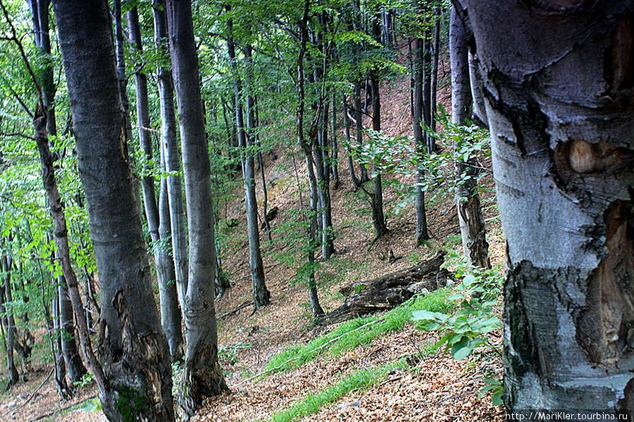 Болгария,Крестовая гора,монастырь 