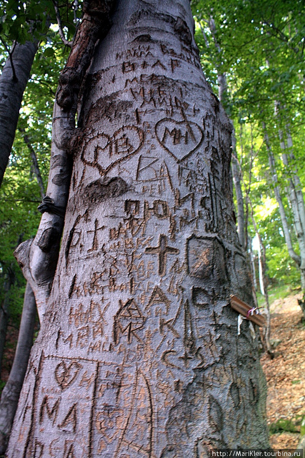 Болгария,Крестовая гора,монастырь 