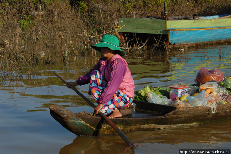 Подсмотренная жизнь Провинция Сиемреап, Камбоджа
