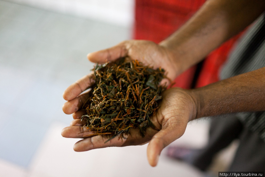 Как делают чай Шри-Ланка