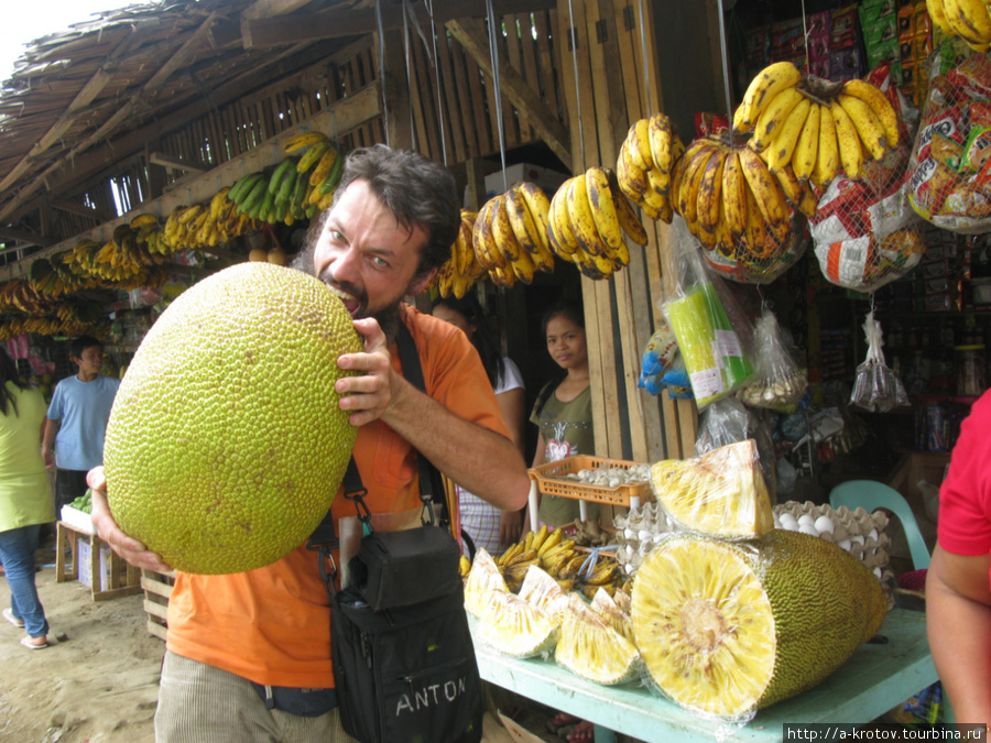 Джек-фрут достигает 30 и более килограммов веса Замбоанга, Филиппины