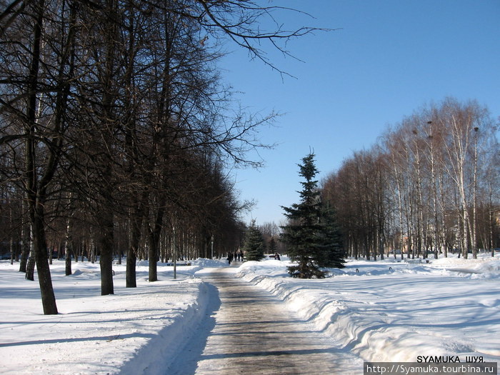 Центральная аллея. Шуя, Россия