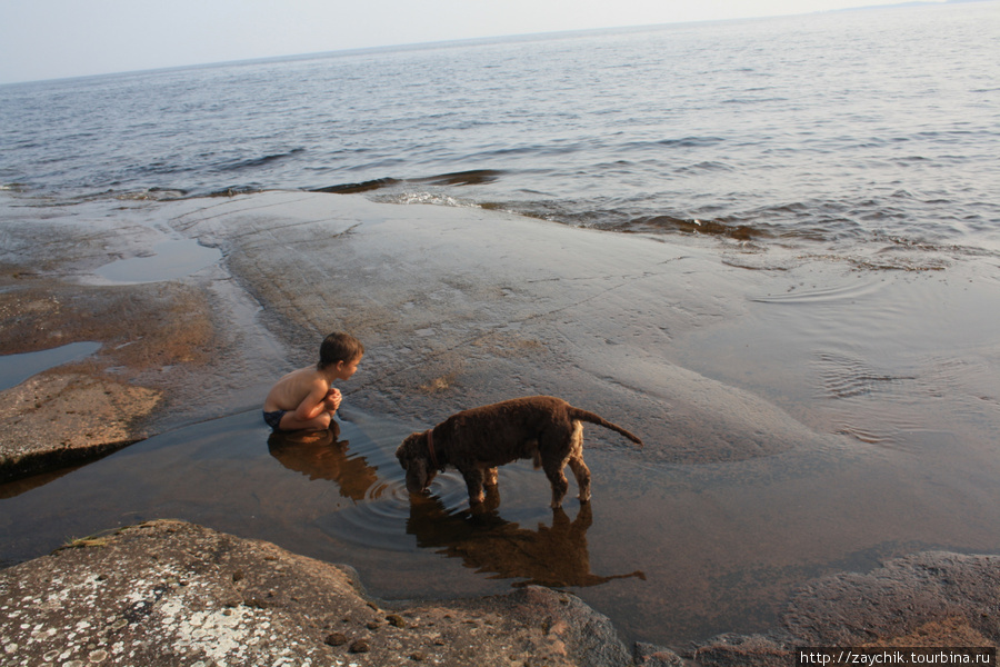 Дети и собаки гранитный пляж полюбили Валаам, Россия