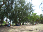 Парк рядом с пляжем Silver Sands Beach