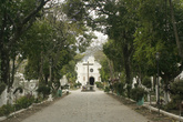 Центральная кладбищенская аллея