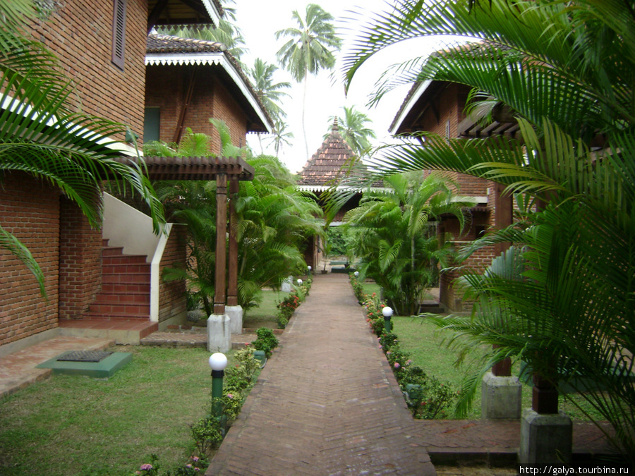 В гостинице Бентота, Шри-Ланка
