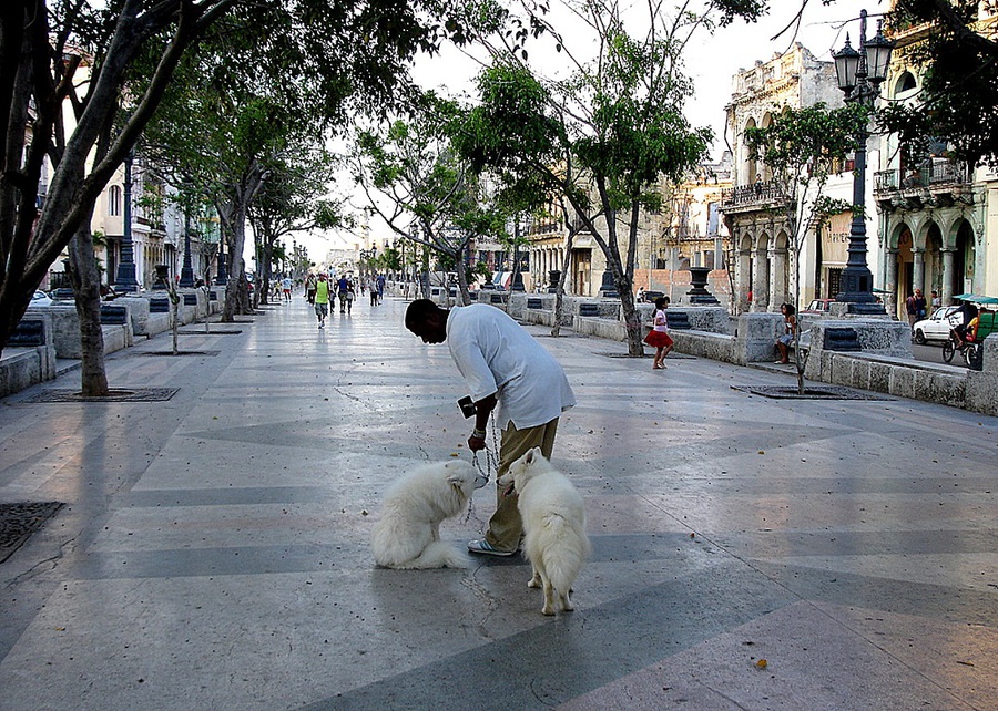 Воспоминания о Гаване или Adios, Habana, mi amor... Гавана, Куба