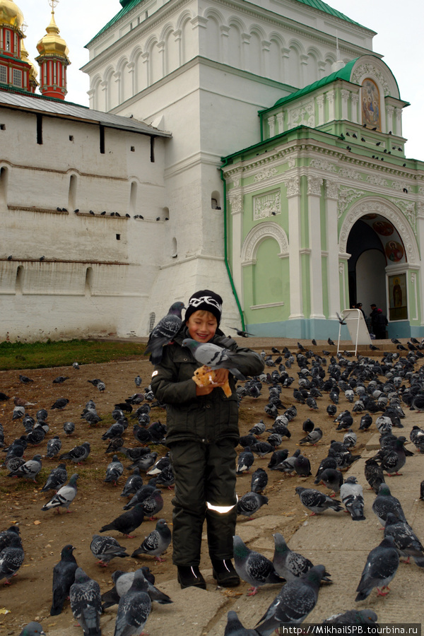 Голубей можно покормить и не только на Сан Марко...)))
...но и у Святых врат Троице-Сергиевой лавры. Сергиев Посад, Россия