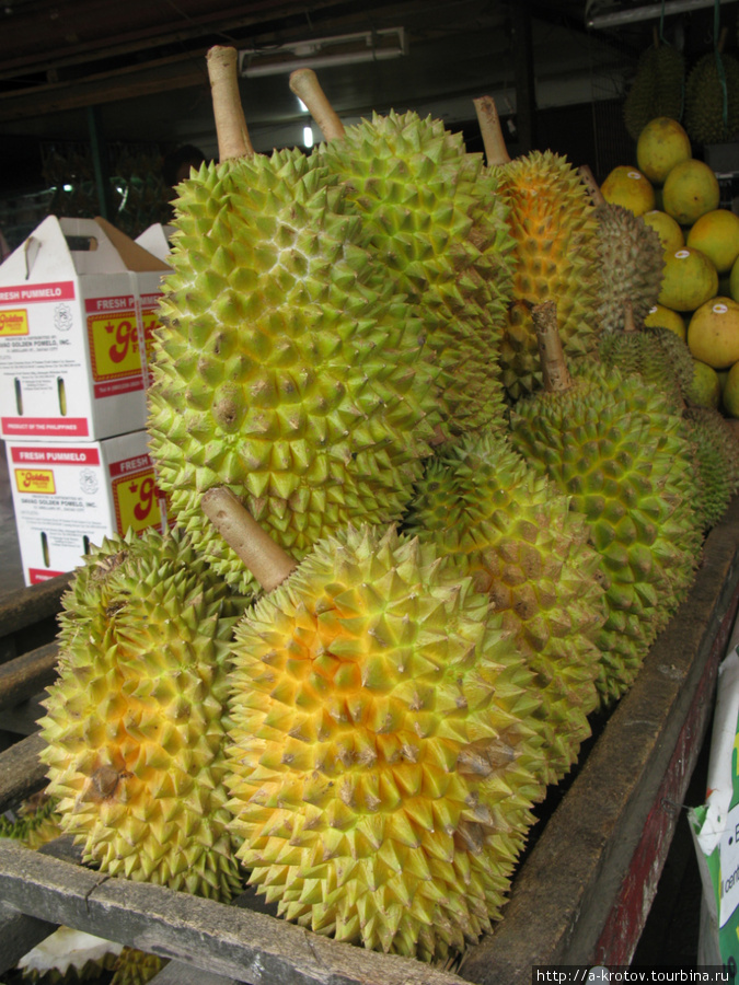 Вот он — самый главный фрукт! В сезон килограмм стоит 50, в не-сезон 150 песо. Давао, Филиппины