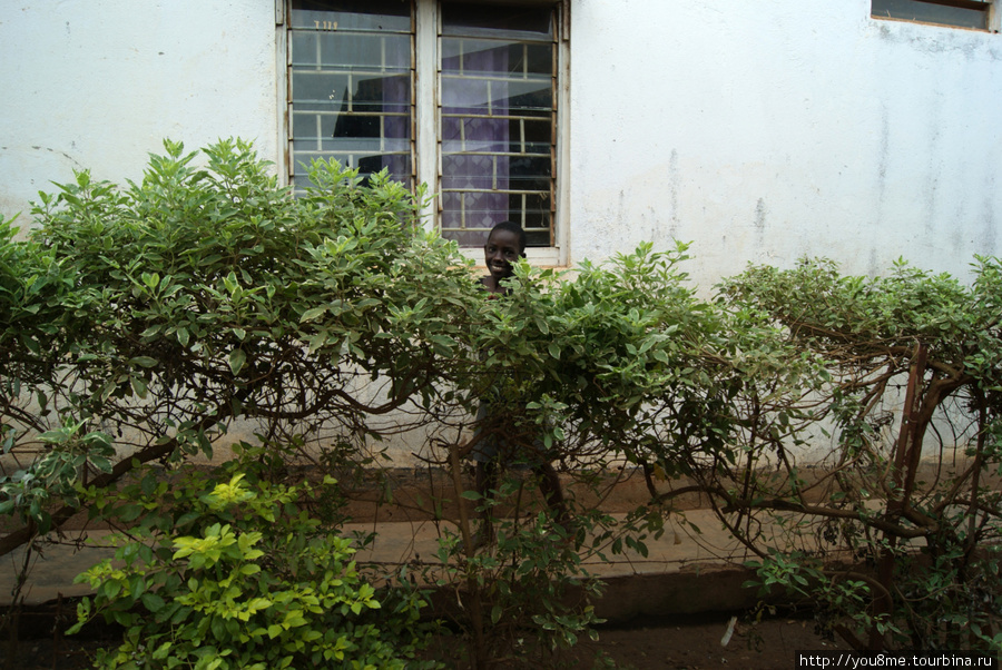 у соседей Энтеббе, Уганда