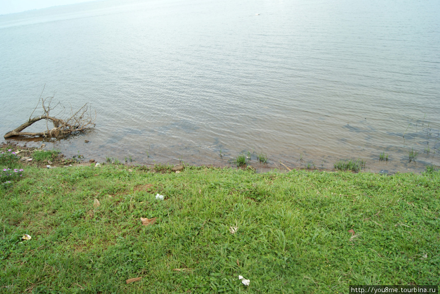 берег озера Виктория Энтеббе, Уганда