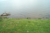 берег озера Виктория