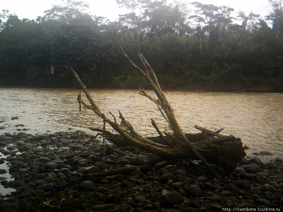 Джунгли эквадорской Амазонии Провинция Пастаса, Эквадор