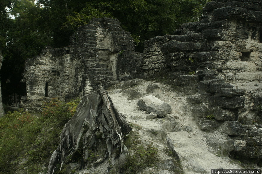 Столица Мутульского царства Тикаль Национальный Парк, Гватемала