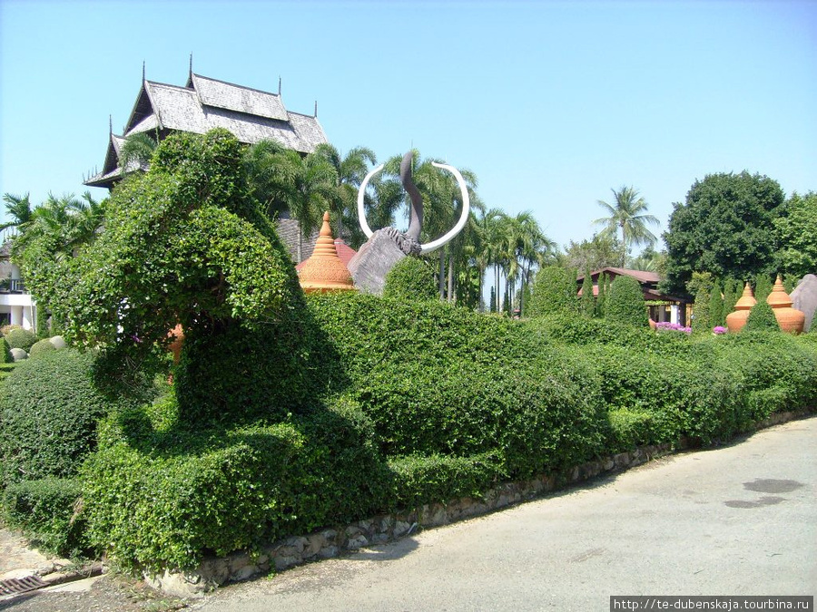 Зеленый дракон в тропическом саду. Паттайя, Таиланд