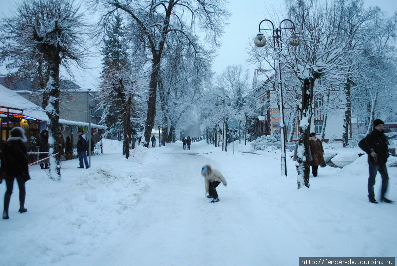 Белый Раушен Светлогорск, Россия