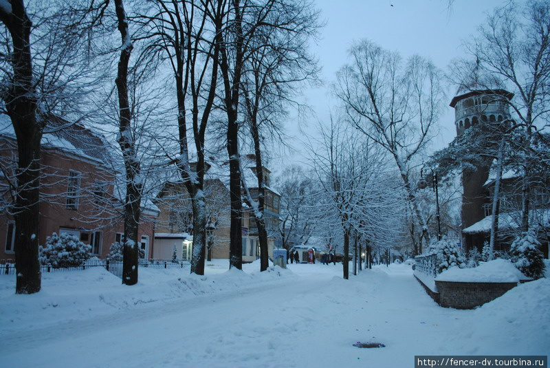 Белый Раушен Светлогорск, Россия