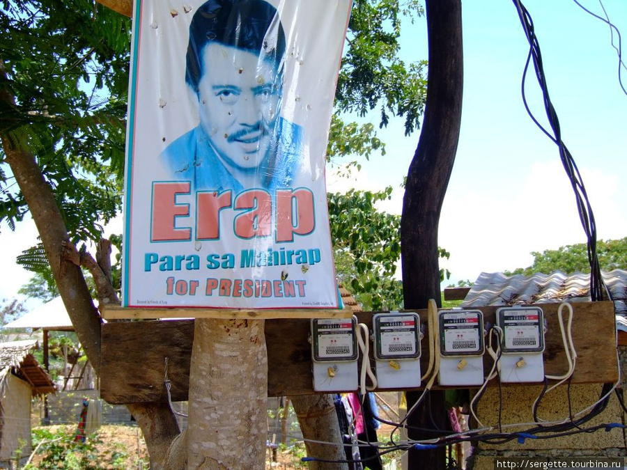 Электрические счетчики вот так просто висят на деревьях Пуэрто-Принсеса, остров Палаван, Филиппины