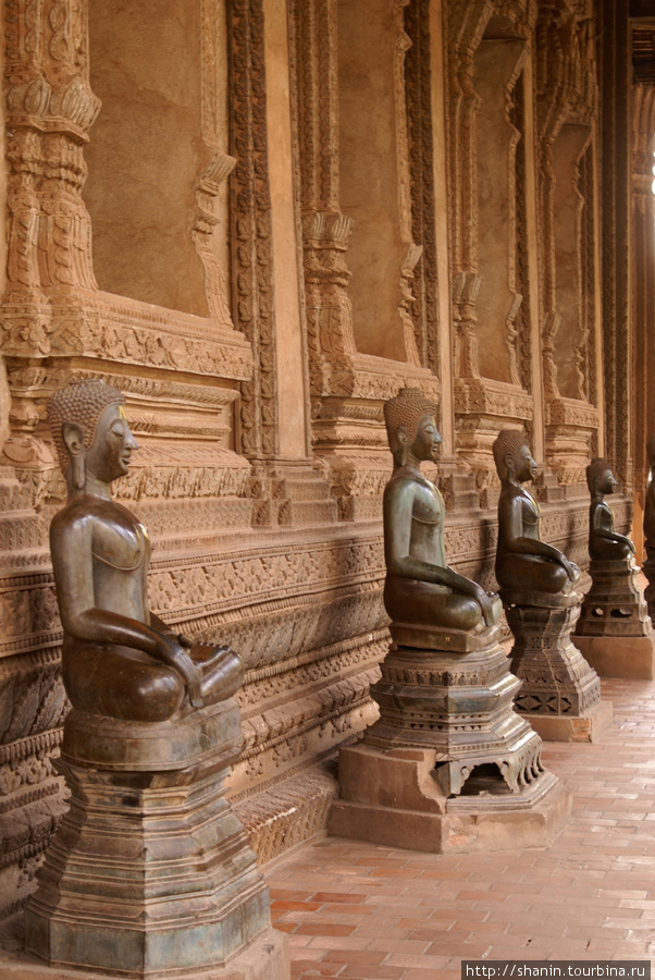 Будды у стены храма Вьентьян, Лаос