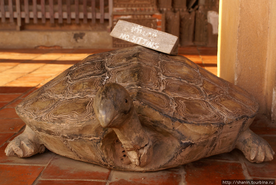 Каменная черепаха Вьентьян, Лаос