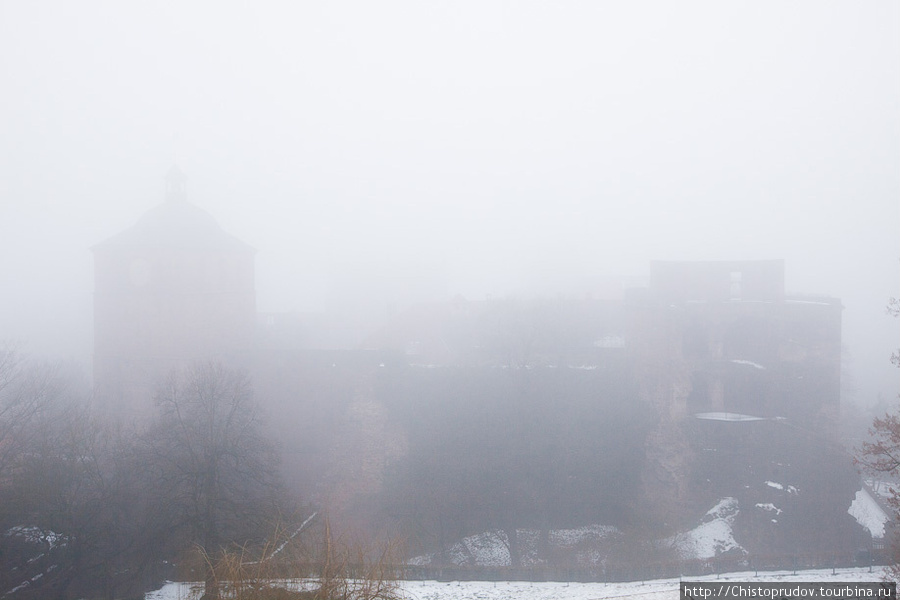 В густых облаках мы с трудом нашли дорогу к замку... Гейдельберг, Германия