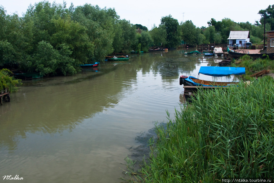 Вилково Вилково, Украина