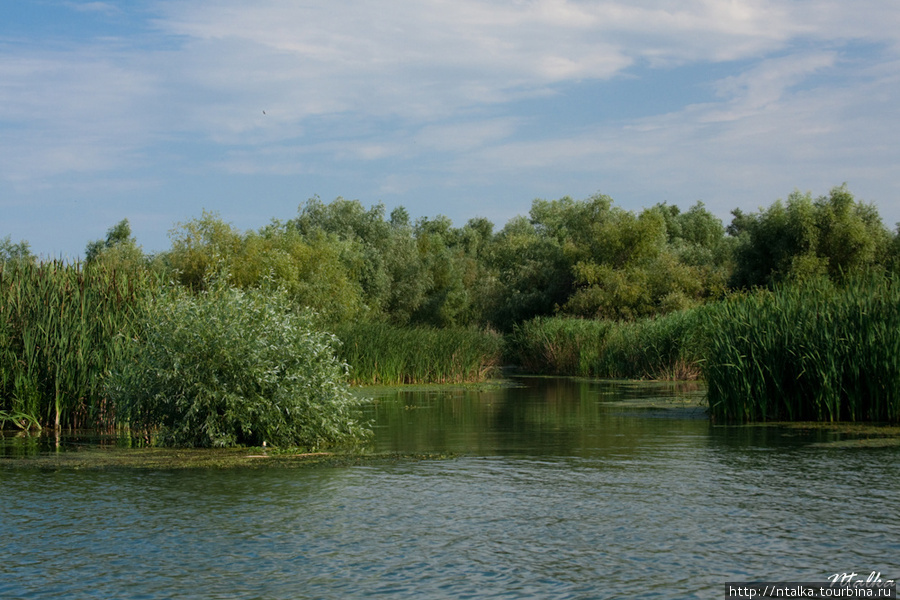 Вилково Вилково, Украина