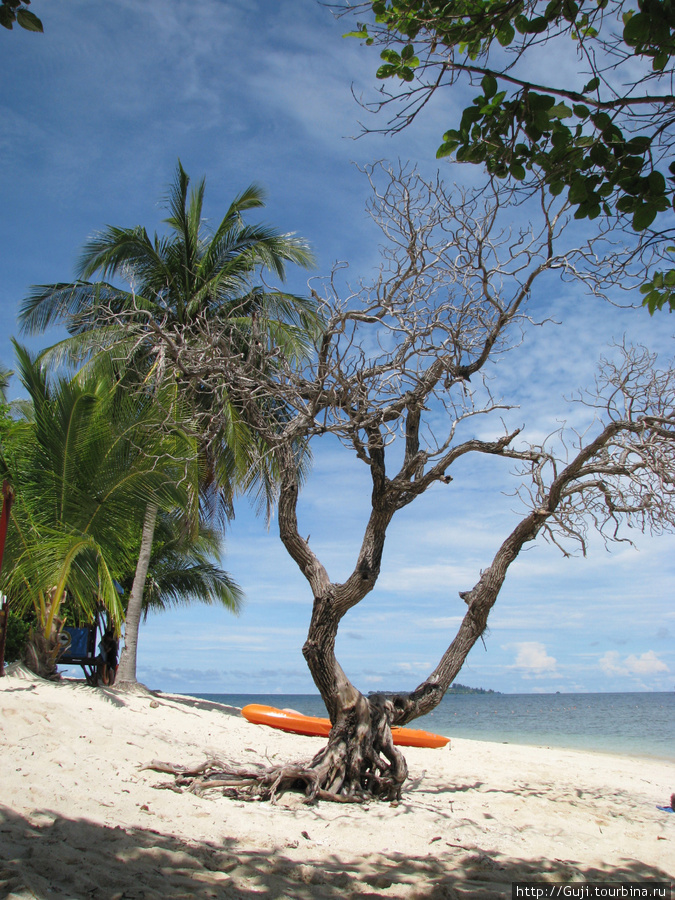 Lankayan, Sabah, Borneo. Манила, Филиппины