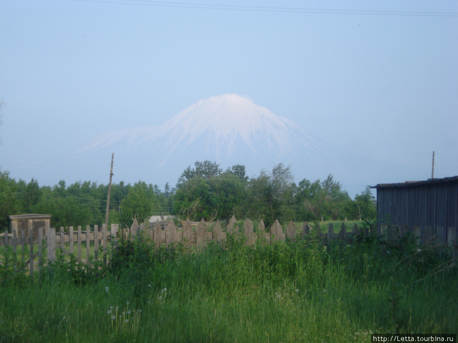 А из нашего окна Ключевская группа вулканов видна Козыревск, Россия
