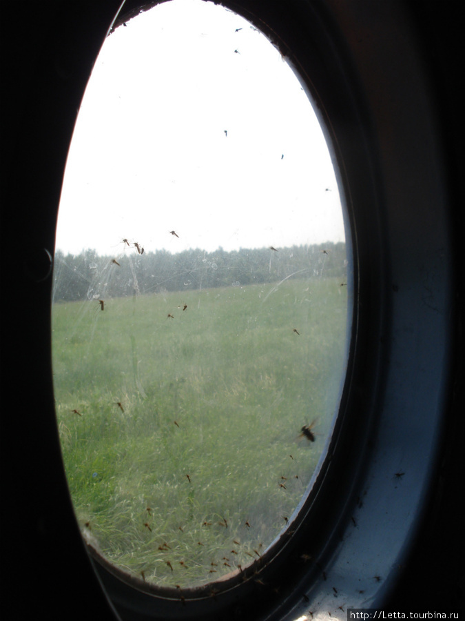 А из нашего окна Ключевская группа вулканов видна Козыревск, Россия