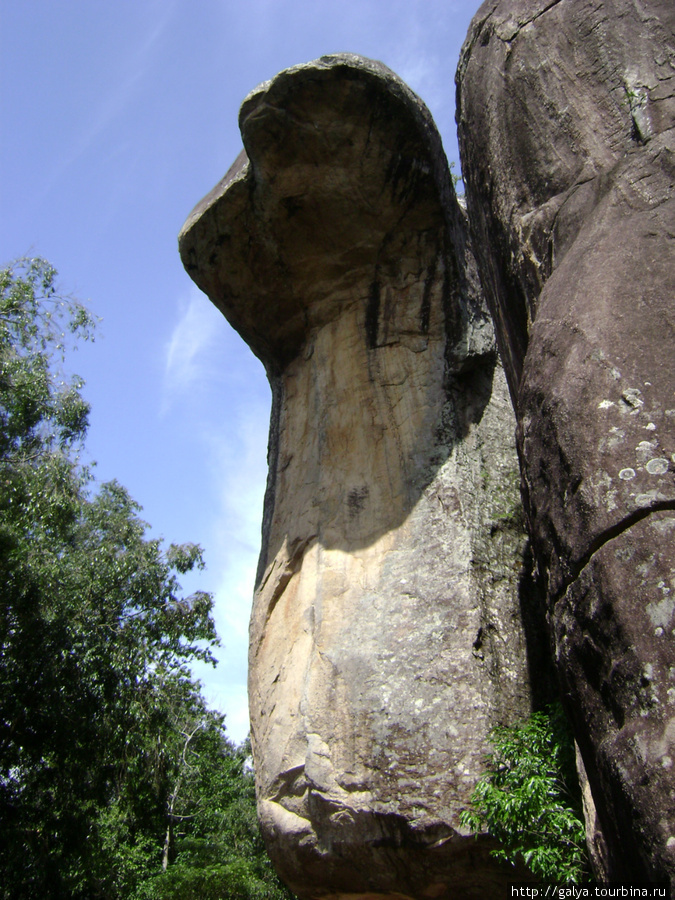 пещера Капюшона Кобры. Тут тоже медитировали Бентота, Шри-Ланка