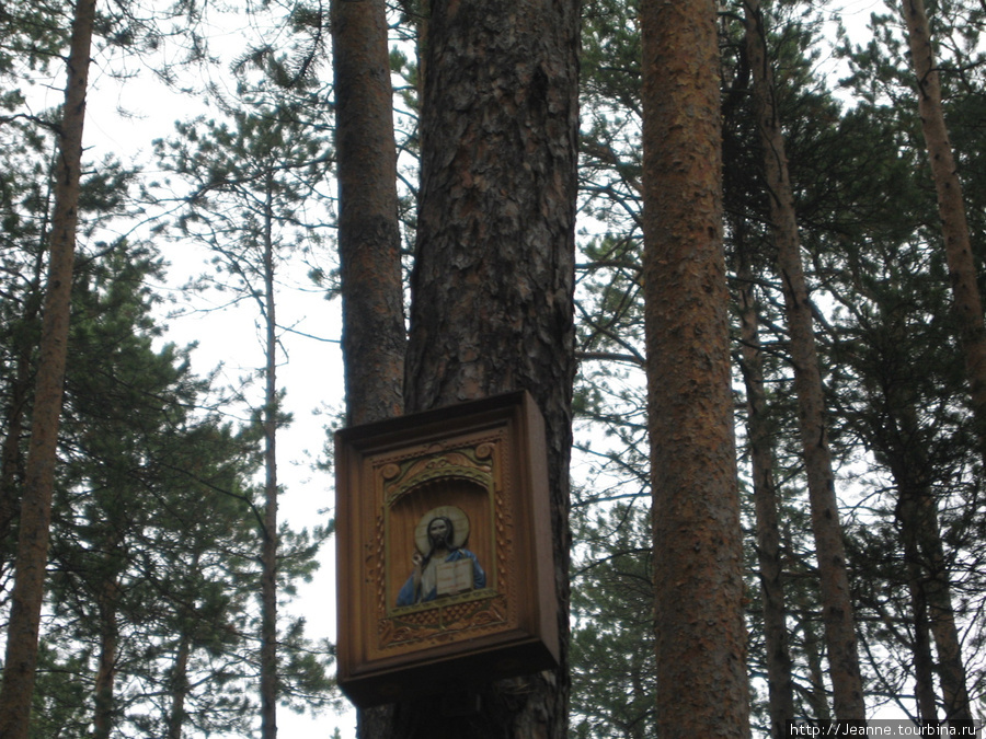 На деревьях возле святого источника тоже иконы Сургут, Россия
