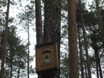 На деревьях возле святого источника тоже иконы