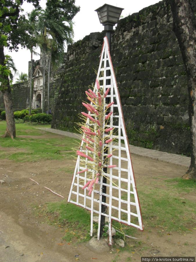 Извращённая новогодняя ёлка с кукурузными шишками Себу-Сити, остров Себу, Филиппины