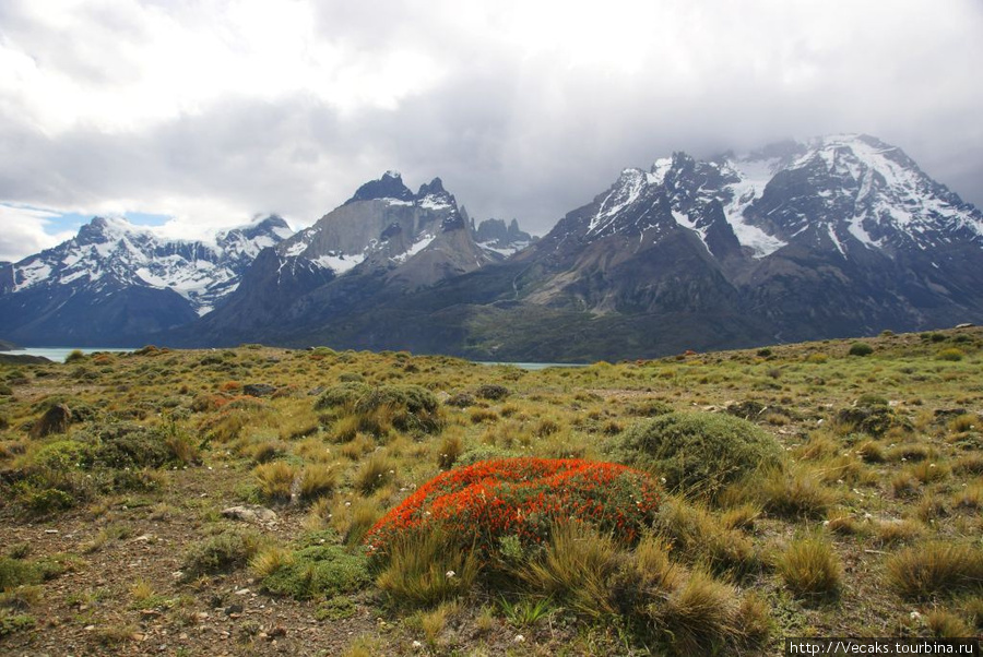 Торрес дель Пайне - национальный парк юга Чили