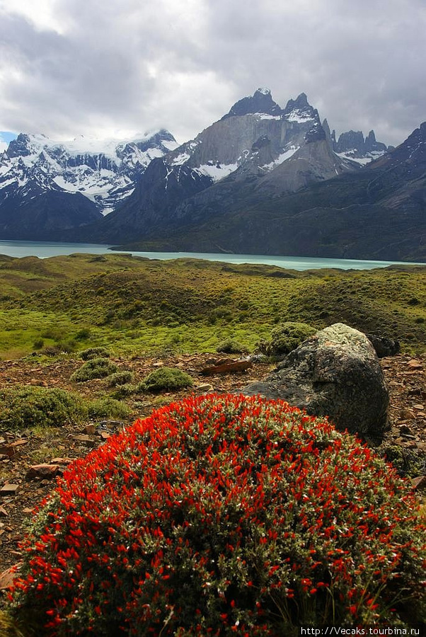 Торрес дель Пайне - национальный парк юга Чили Национальный парк Торрес-дель-Пайне, Чили