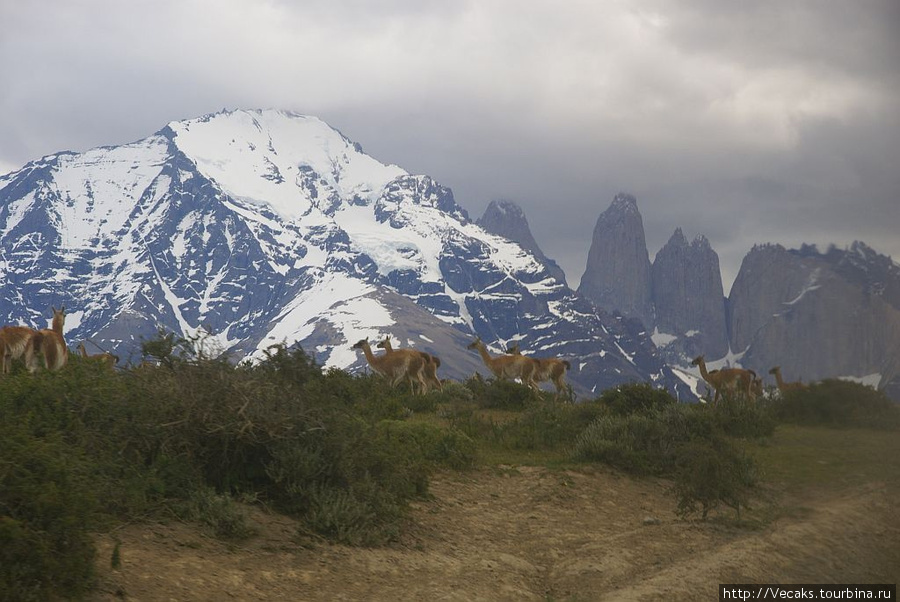 Торрес дель Пайне - национальный парк юга Чили