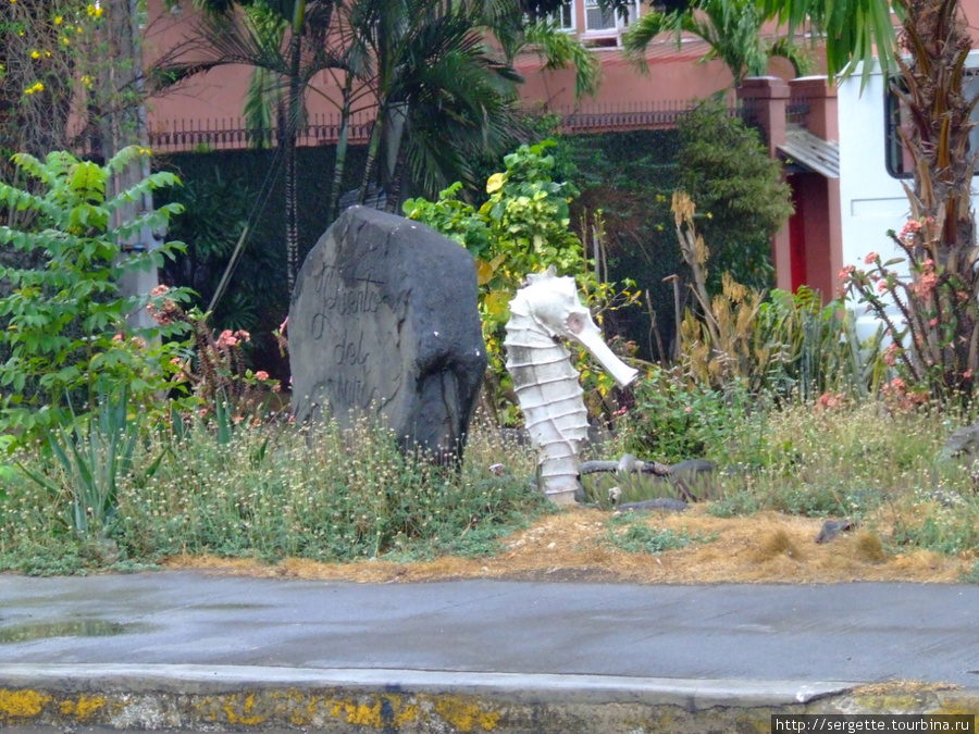 Этот камень и конек горбунек стоят рядом с Пуэрто дель Мар Пуэрто-Принсеса, остров Палаван, Филиппины