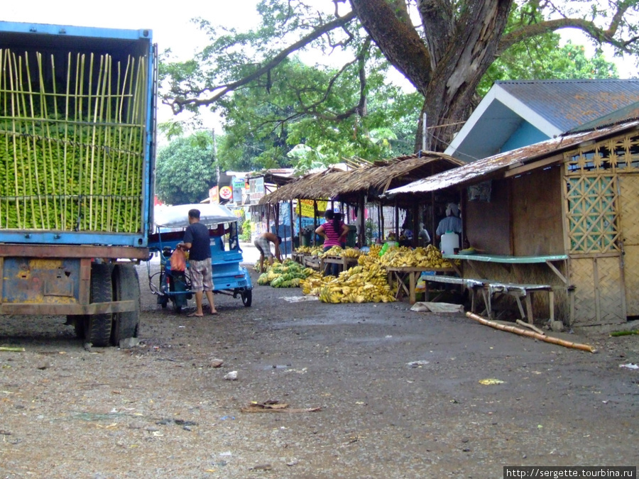 оптовый банановый рынок Пуэрто-Принсеса, остров Палаван, Филиппины