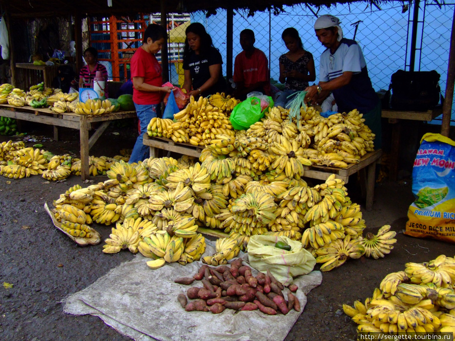 море моих любимых бананов Пуэрто-Принсеса, остров Палаван, Филиппины