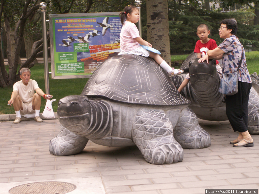 Пекин - зоопарк Пекин, Китай