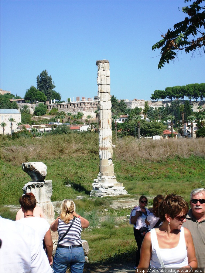 Сборная колонна — все, что осталось от храма Артемиды. Эфес античный город, Турция