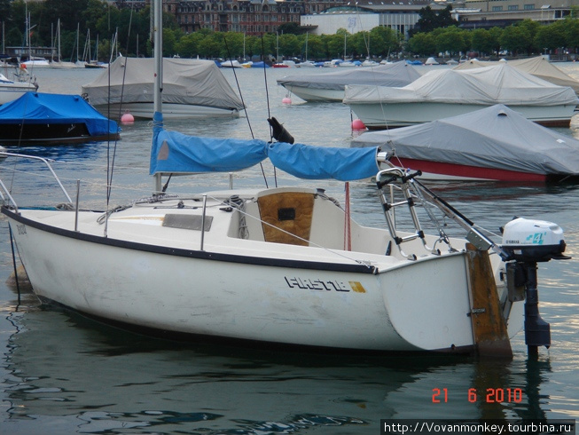 Так защищают лодки от голубей, на каждой яхте закреплена фигурка вороны, покачивается, как живая Цюрих, Швейцария