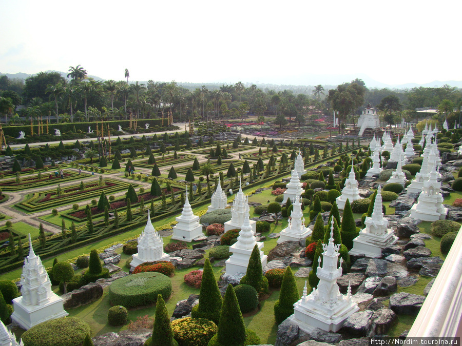 Паттайя, парк цветов Паттайя, Таиланд