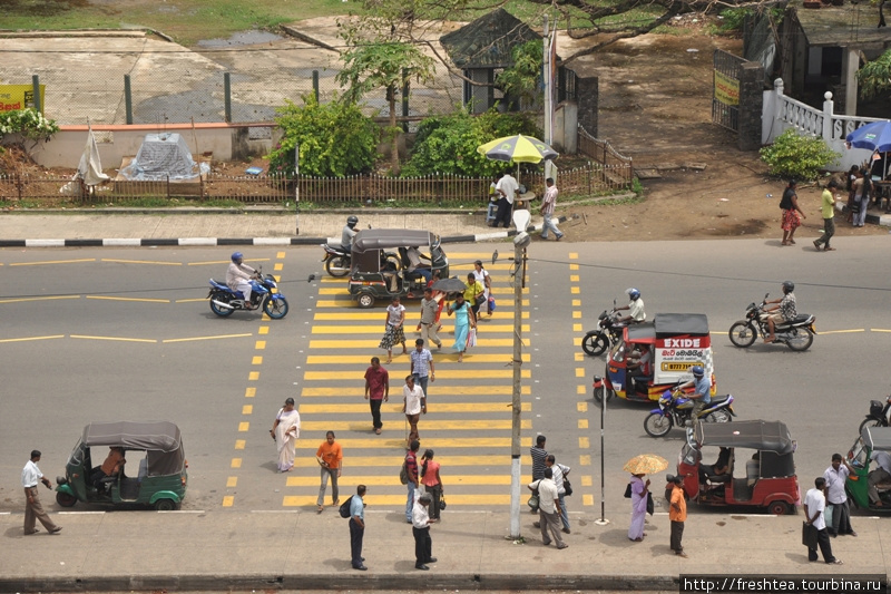 За этой желтой зеброй  остановка автобусного маршрута  02, следующего через город по шоссе Коломбо — Галле до следующего старинного голландского форта в Матаре. Его бастионы и ворота тоже достойны внимания любознательного путешественника. Шри-Ланка