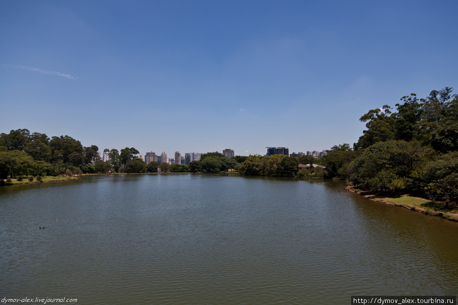 Парк Ибирапуэра Сан-Паулу, Бразилия