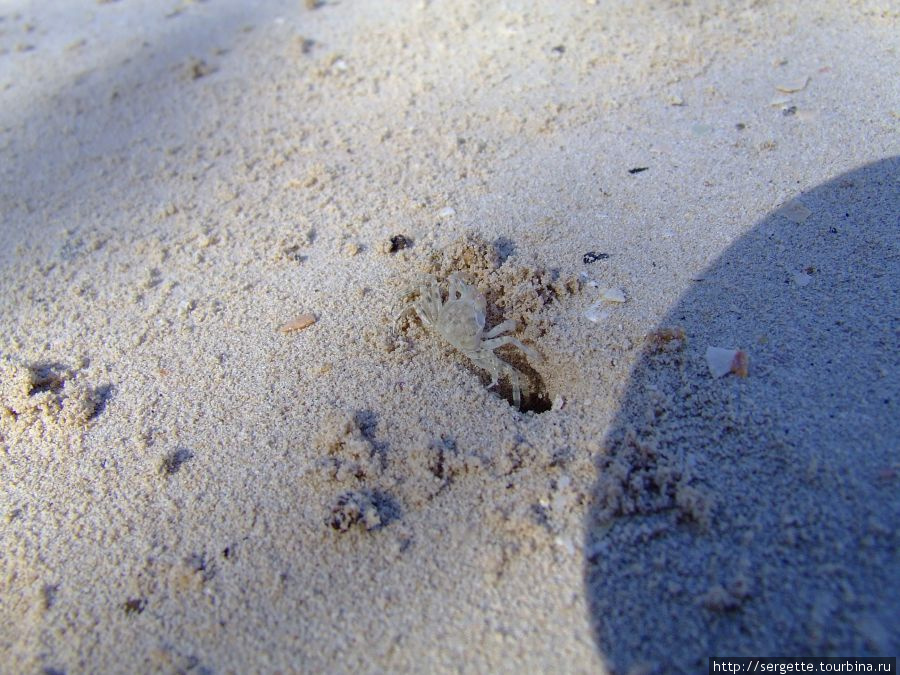 Prestine Beach Пуэрто-Принсеса, остров Палаван, Филиппины