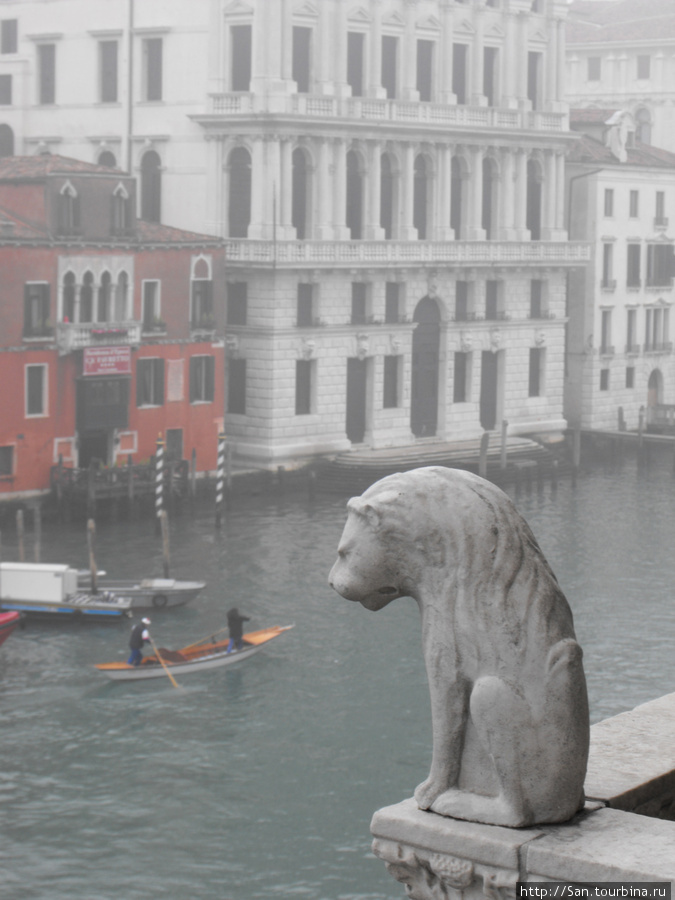 С балкона Ка дОро наблюдает неспящая горгулья. Венеция, Италия