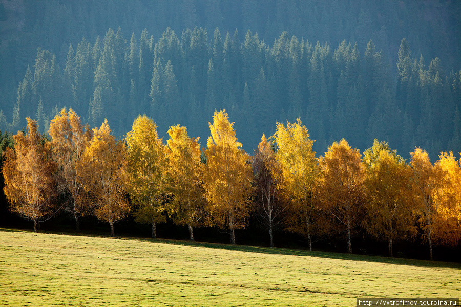 Осень в долине Иссык-Кульская область, Киргизия